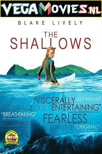 The Shallows (2016) Dual Audio {Hindi-English} 480p [350MB] | 720p [950MB] | 1080p [1.5GB]