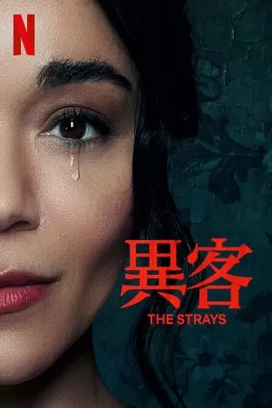 The Strays – Netflix Original (2023) WEB-DL Dual Audio {Hindi-English} 480p [300MB] | 720p [650MB] | 1080p [1.3GB]