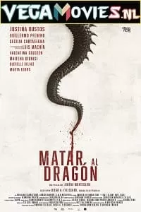 To Kill the Dragon (2019) Dual Audio {Hindi-French} 480p [300MB] | 720p [900MB]