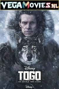 Togo (2019) Full Movie {English with Subtitles} WEB-DL 480p [450MB] | 720p [1GB] | 1080p [1.8GB]