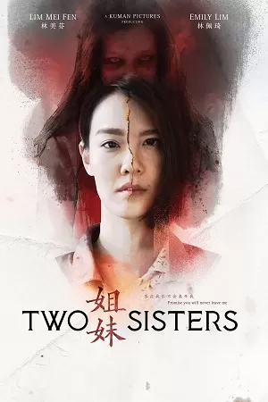 Two Sisters (2019) WEB-DL Dual Audio {Hindi-Chinese} 480p [310MB] | 720p [890MB] | 1080p [2GB]