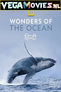 Wonders of the Ocean (2021) Season 1 Hindi Complete DSNP WEB Series 480p | 720p HDRip