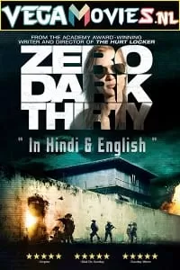 Zero Dark Thirty (2012) Dual Audio {Hindi-English} 480p [550MB] | 720p [1.6GB] | 1080p [4.6GB]